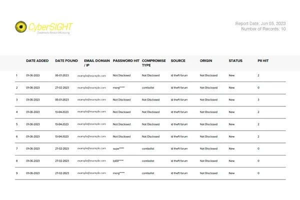 Cybersight-example-pdf-report