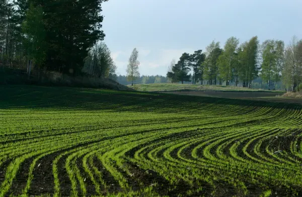 Mole Valley Farmers 1