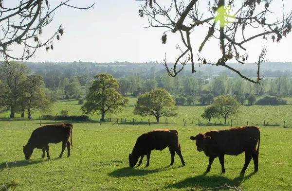 Mole Valley Farmers 3