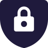 IT security icon