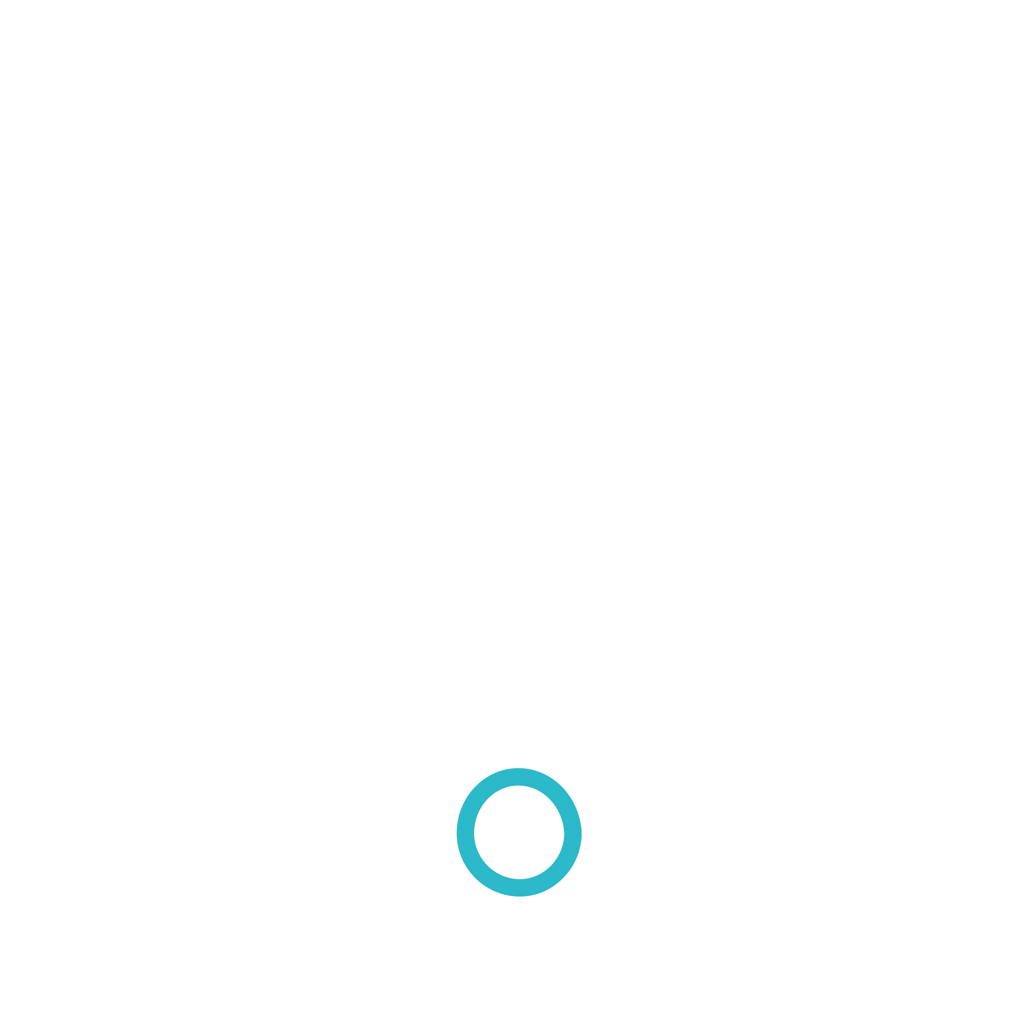 Connectivity icon