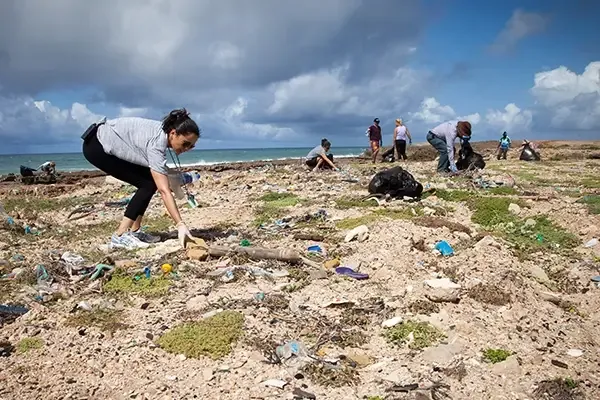 Volunteers picking up rubbish from beach