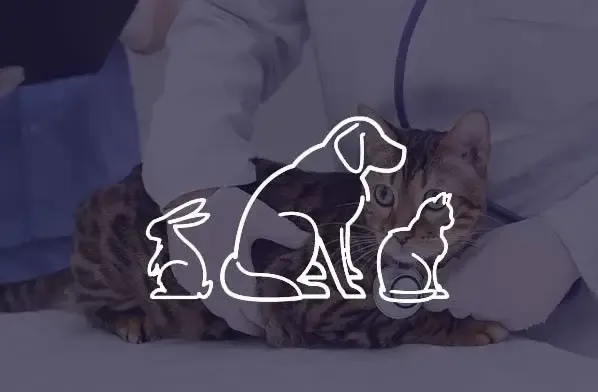 Veterinary practice logo